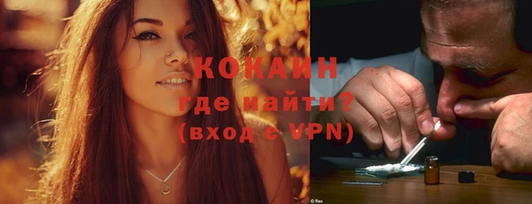стаф Аркадак