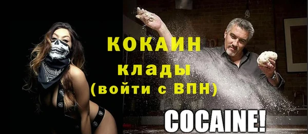 стаф Аркадак